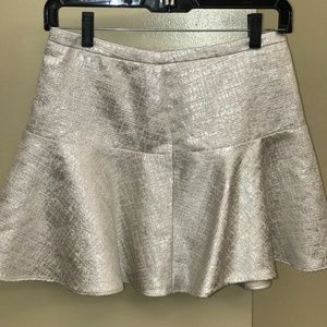 Express Skirt